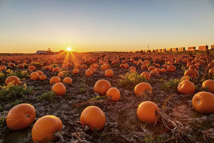 October in Shelby County