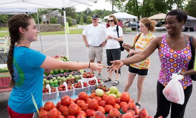 August Events Not to Miss in Shelby County